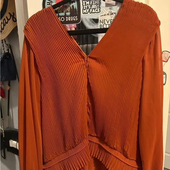 251- ryegrass Pleated V-Neck Blouse - Rust - Picture 4 of 4